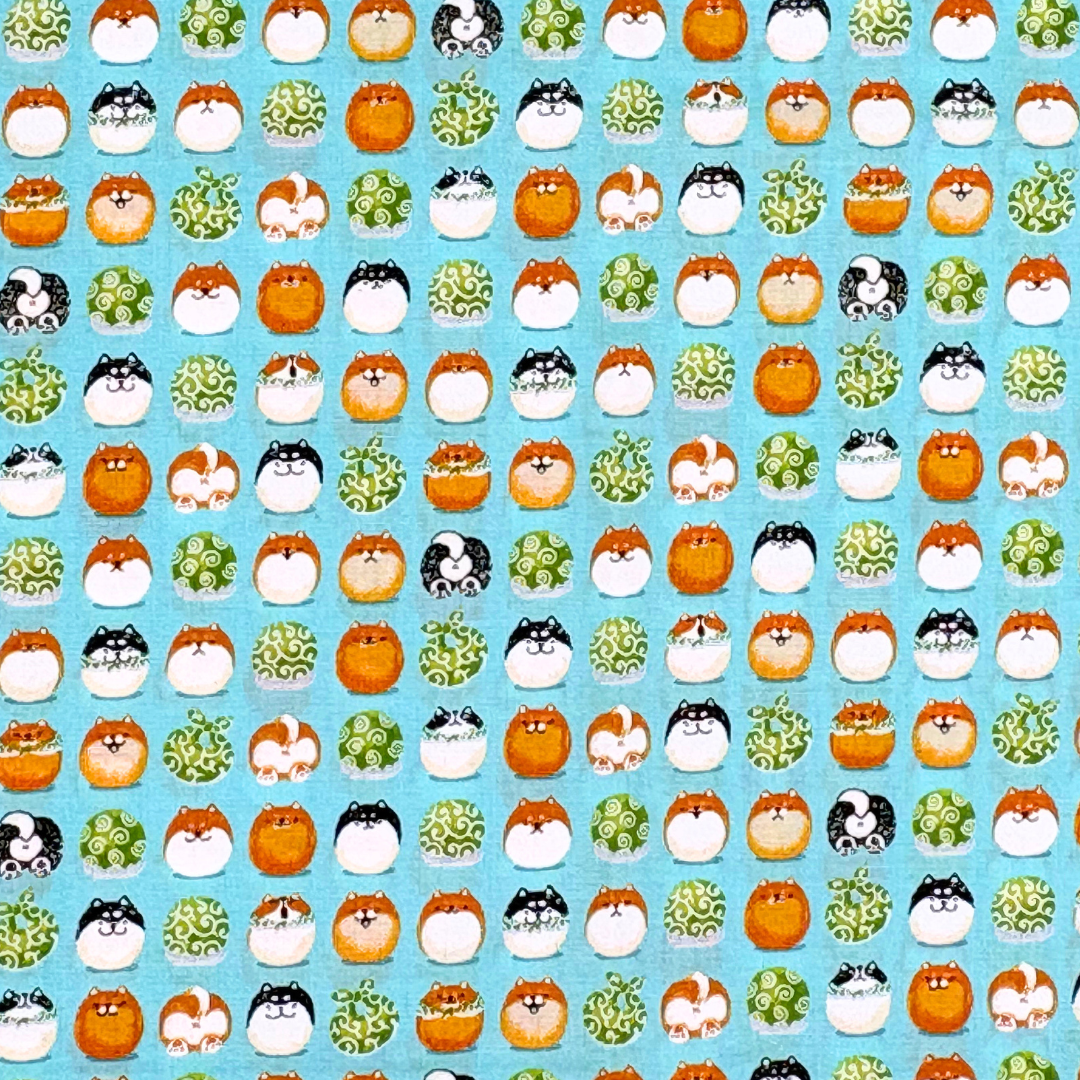 Muster Mameshiba blau