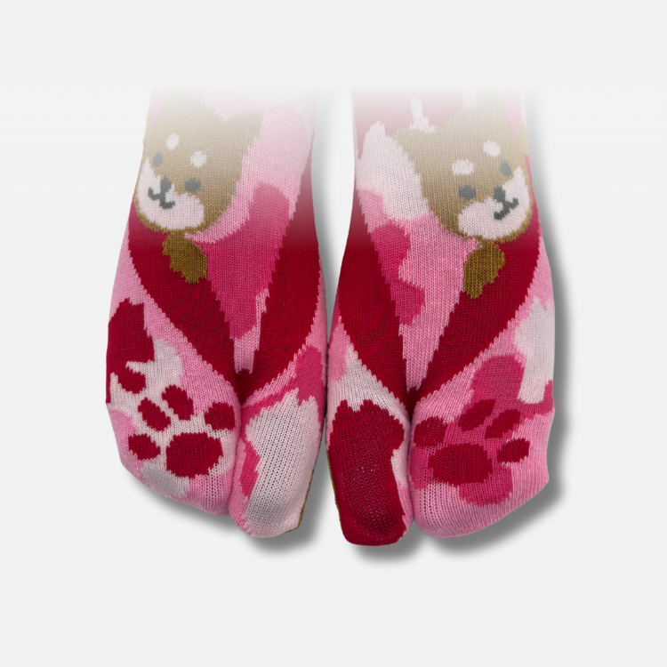 Tabi Socken Hund