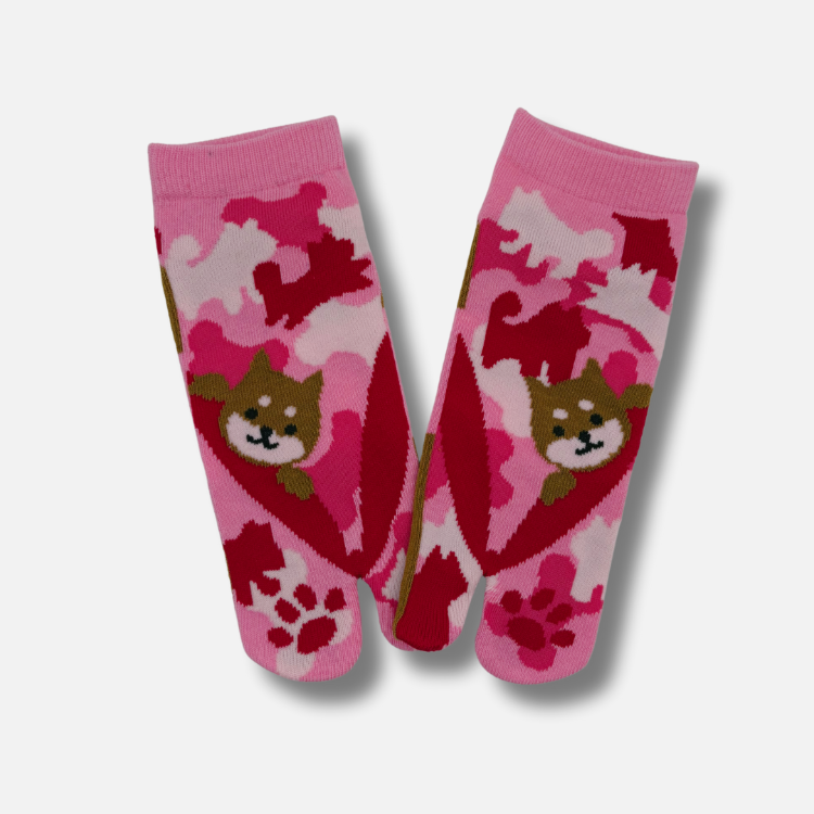 Tabi Socken Hund